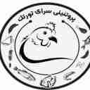 پخش عمده قطعه بندی مرغ و گوشت گرم تورتک در بندرعباس