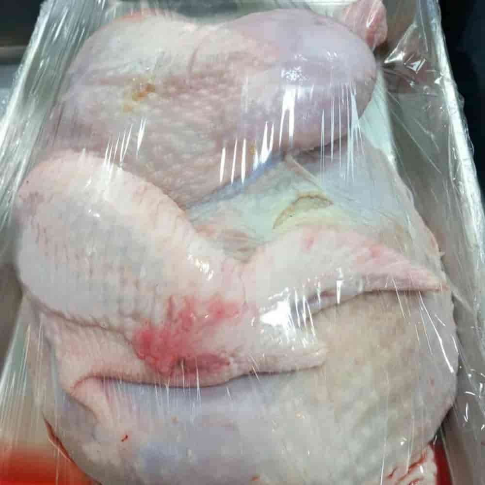 بوقلمون