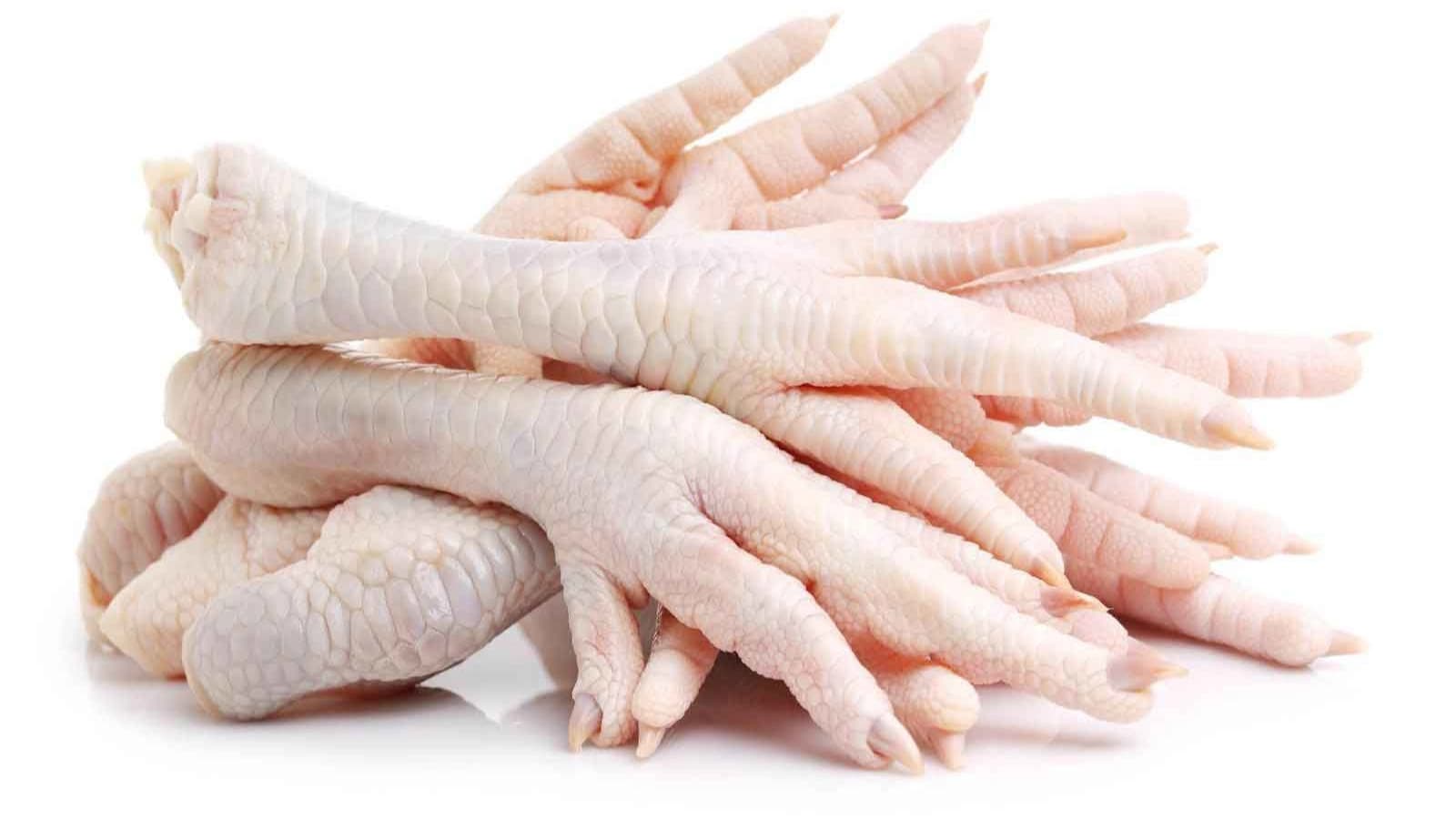 خواص پای مرغ