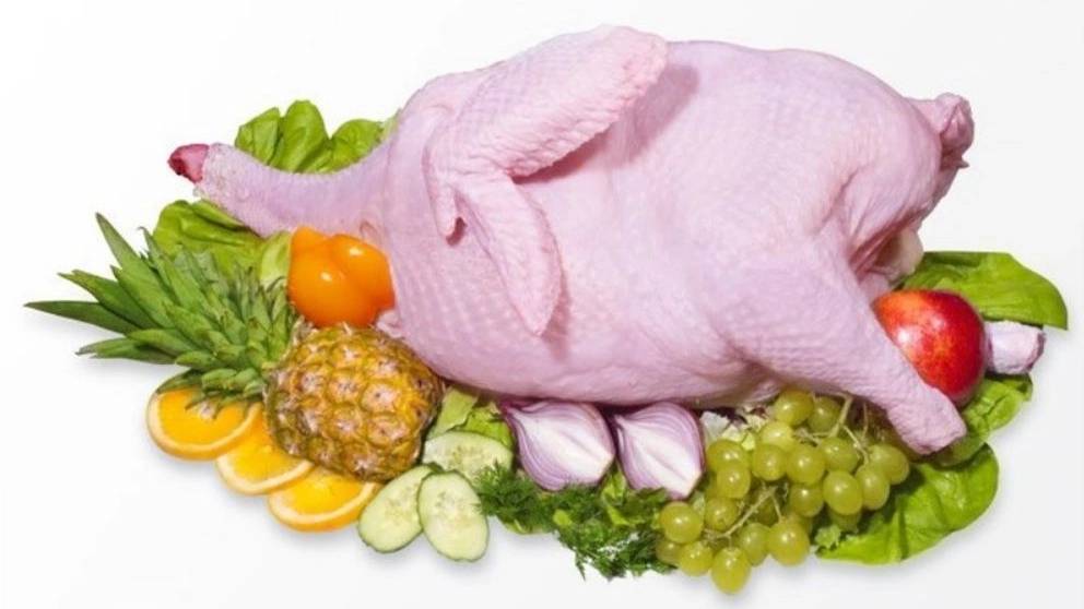 خواص گوشت بوقلمون و بلدرچین خواص گوشت بوقلمون و بلدرچین